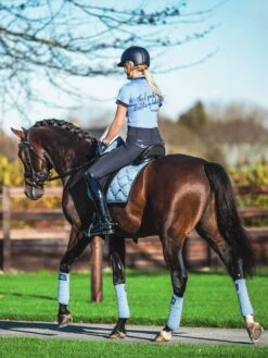 Equestrian Supplies -Equestrian Supplies 178512603 origpic 1e1336