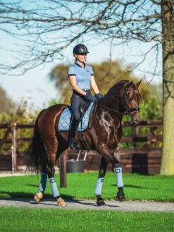 PS Of Sweden Daniella Polo Shirt Light Blue -Equestrian Supplies 178512603 origpic 35b034