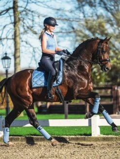 PS Of Sweden Minna Sleeveless Polo Shirt Light Blue -Equestrian Supplies 178512617 origpic 66a2fe