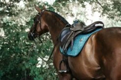 Kentucky Velvet Jump Saddle Pad Emerald 9 Kentucky Velvet Jump Saddle Pad Emerald -Equestrian Supplies 3e682ab3f977aec7d4b40da505e6d352a23e09a0cbef94e875de8329a25da876