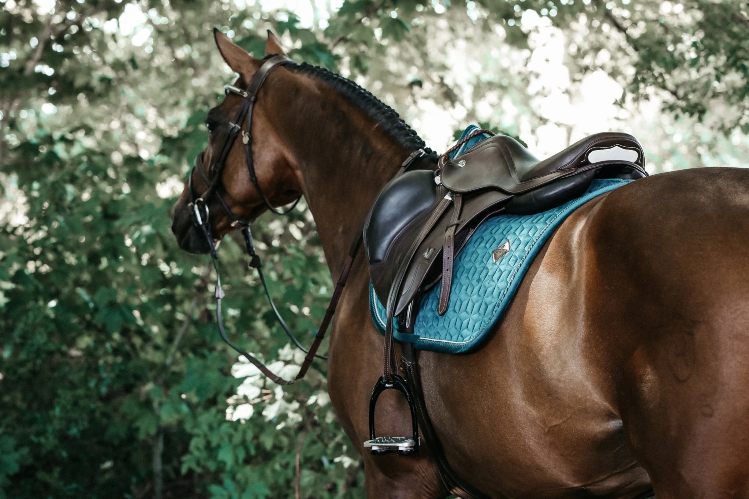 Kentucky Velvet Jump Saddle Pad Emerald 6 Kentucky Velvet Jump Saddle Pad Emerald - Image 4