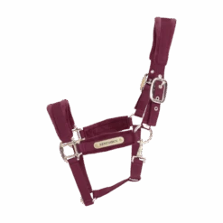 Kentucky Horsewear Velvet Halter Bordeaux -Equestrian Supplies 42558 17 e8502ded370e565d04389cf2c54c4715 article photobook crop