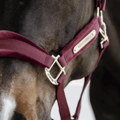 Kentucky Horsewear Velvet Halter Bordeaux -Equestrian Supplies 485a7774 e8502ded370e565d04389cf2c54c4715 article photobook crop