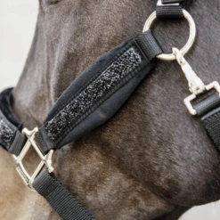 Kentucky Horsewear Glitter Stone Halter Black -Equestrian Supplies 485a8878 e8502ded370e565d04389cf2c54c4715 article photobook crop