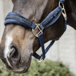 Kentucky Horsewear Glitter Stone Halter Navy 9 Kentucky Horsewear Glitter Stone Halter Navy -Equestrian Supplies 485a8887 e8502ded370e565d04389cf2c54c4715 article photobook crop