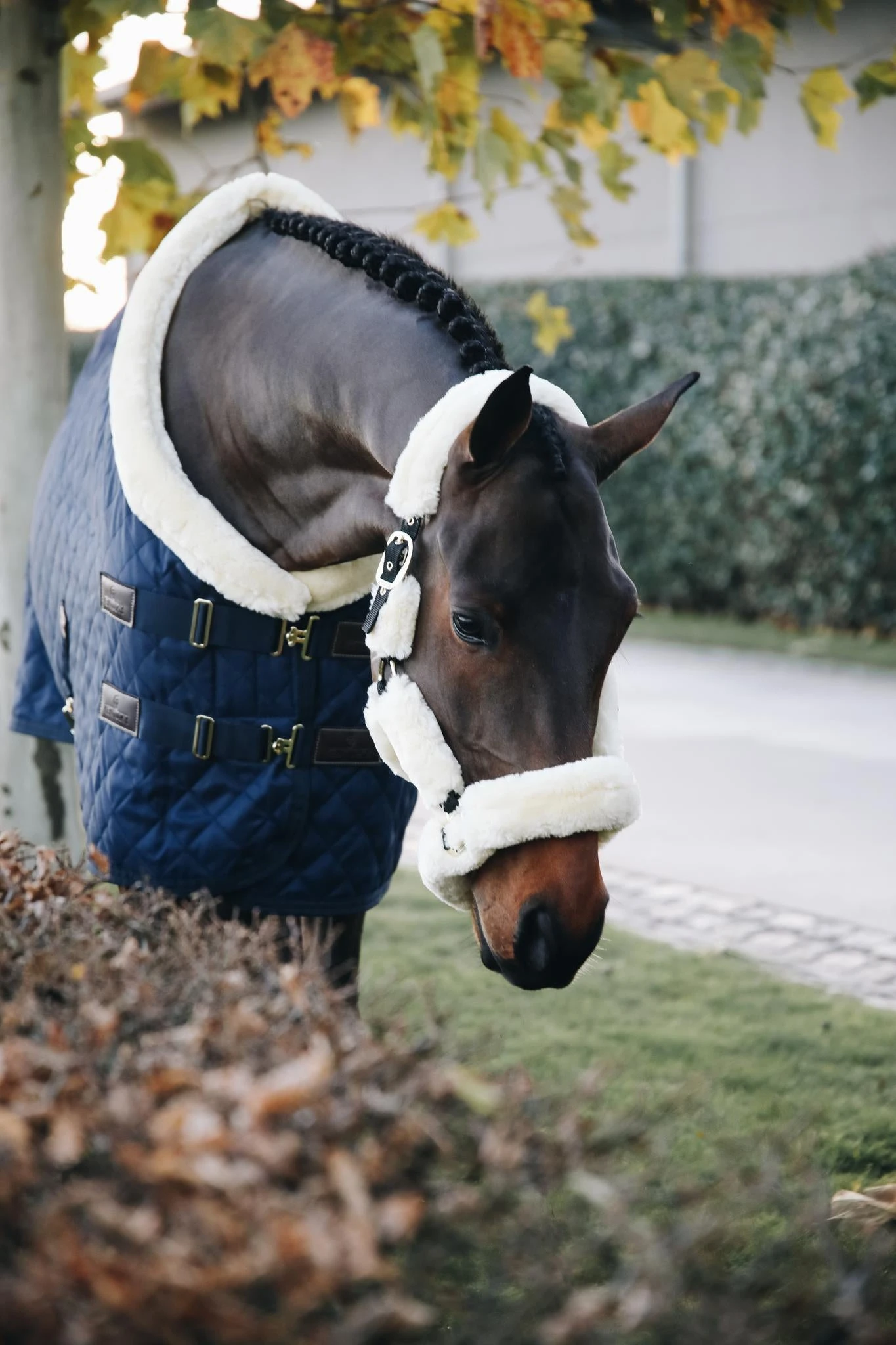 Kentucky Sheepskin Shipping Halter Natural 4 Kentucky Sheepskin Shipping Halter Natural - Image 2