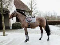 Kentucky Velvet Jump Saddle Pad Grey -Equestrian Supplies 885d8a39fe115c679f889a3d60d03433a72dc583bb5f20b8bfee231774ff3886