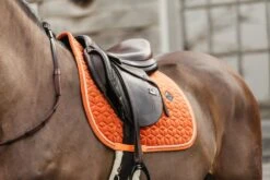 Kentucky Velvet Jump Saddle Pad Orange 11 Kentucky Velvet Jump Saddle Pad Orange -Equestrian Supplies 8c51598d24bc0e6d250dce36cd416a07e9d8d077240d9b97543b843df835ed4c