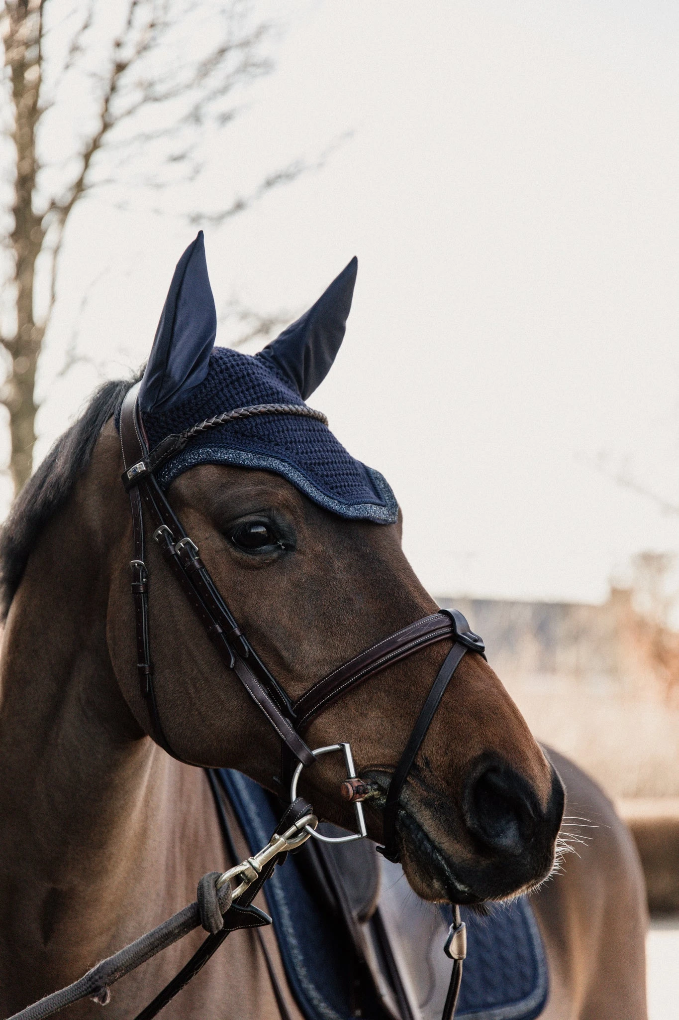 Kentucky Glitter Stone Soundless Wellington Ear Bonnet Dark Navy 5 Kentucky Glitter Stone Soundless Wellington Ear Bonnet Dark Navy - Image 3