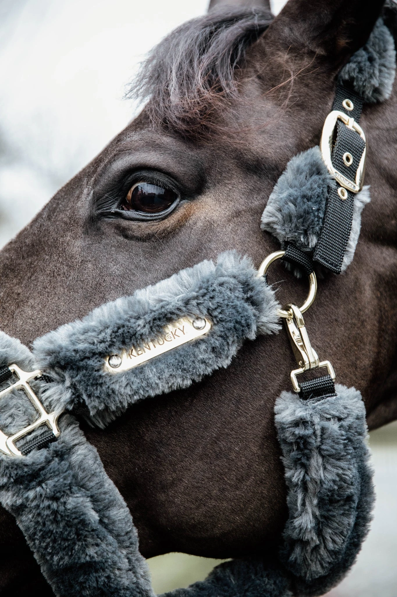 Kentucky Sheepskin Shipping Halter Grey 4 Kentucky Sheepskin Shipping Halter Grey - Image 2