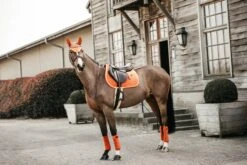 Kentucky Velvet Jump Saddle Pad Orange 13 Kentucky Velvet Jump Saddle Pad Orange -Equestrian Supplies 9268c6f75332e3f9b232595fd14be8f359fa4b51573ebf59397d1a1425cba83a