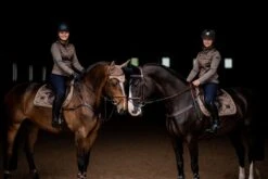 Equestrian Stockholm Ear Bonnet Champagne -Equestrian Supplies DSC 3133