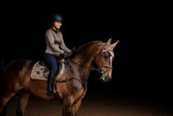 Equestrian Stockholm Ear Bonnet Champagne -Equestrian Supplies DSC 3164