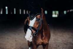 Equestrian Stockholm Ear Bonnet Black Gold -Equestrian Supplies MG 0092