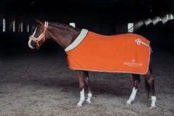 Equestrian Stockholm Fleece Headcollar & Lead Brick Orange -Equestrian Supplies MG 1060 616a39a6 c368 4c67 be75 5b1568d83bc9