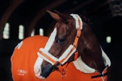 Equestrian Stockholm Fleece Headcollar & Lead Brick Orange -Equestrian Supplies MG 1066 6ddb2797 6332 410d b550 5cfb2d1d5743