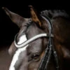 SD Design Azzaro Browband Clear -Equestrian Supplies R 119 SD Azzaro browband2 1 1.w610.h610.backdrop