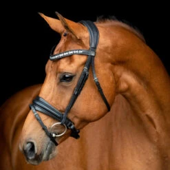 SD Design Vivaldi Browband Clear 11 SD Design Vivaldi Browband Clear -Equestrian Supplies R 1206 SD VIvaldi bridle 1