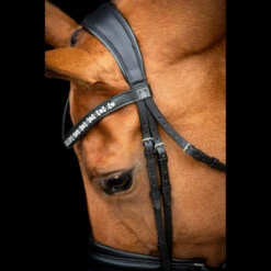 SD Design Vivaldi Browband Clear 12 SD Design Vivaldi Browband Clear -Equestrian Supplies R 1206 SD VIvaldi bridle5 1