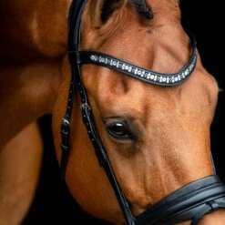 Equestrian Supplies -Equestrian Supplies R 1206 SD Vivaldi bridle2 1