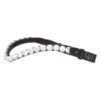 SD Design Valentino Browband Clear 2 SD Design Valentino Browband Clear -Equestrian Supplies R 1385 SD Valentino browband black1W