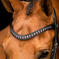 Equestrian Supplies -Equestrian Supplies R 923 SD Vivaldi browband Amethyst3