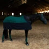 Equestrian Stockholm Fleece Rug Sycamore Green -Equestrian Supplies RR