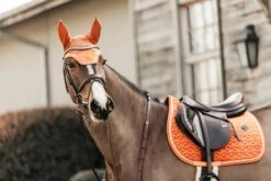 Kentucky Velvet Jump Saddle Pad Orange 12 Kentucky Velvet Jump Saddle Pad Orange -Equestrian Supplies a4f9031824099c7a519f851ac797c55f8a2667369cd80e67f1a0ed8fb7550de4