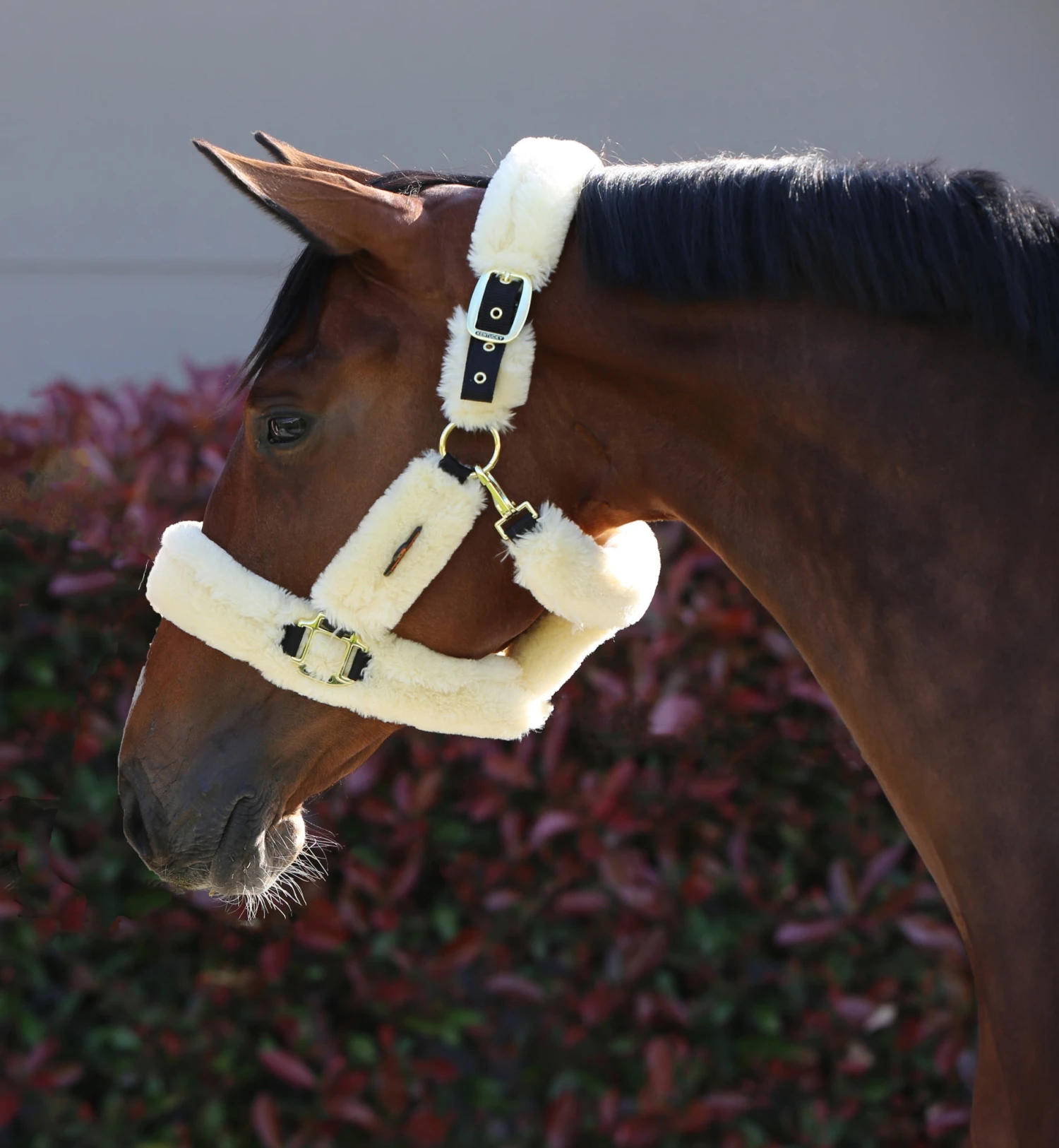 Kentucky Sheepskin Shipping Halter Natural 7 Kentucky Sheepskin Shipping Halter Natural - Image 5