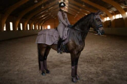 Equestrian Stockholm Exercise Rug Amaranth -Equestrian Supplies amaran3 2