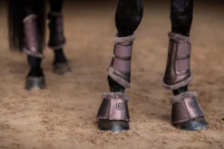 Equestrian Stockholm Brushing Boots Amaranth -Equestrian Supplies amaranth brushing boots benskydd gamaschen beenbeschermers on1