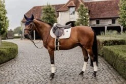 Kentucky Wool Jump Saddle Pad Beige -Equestrian Supplies b171971a69ad168b8cb63d237de551e96315c618909a039ac47ee5219f1d17bb