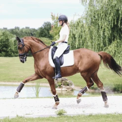 Kentucky Leather Brushing Boots Brown 7 Kentucky Leather Brushing Boots Brown -Equestrian Supplies c e8502ded370e565d04389cf2c54c4715 article photobook crop 5