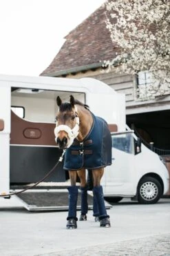 Kentucky Sheepskin Shipping Halter Natural 10 Kentucky Sheepskin Shipping Halter Natural -Equestrian Supplies de1c07ee2cf6996d4a372aeab15faad108cbcd3db85ee20b178885e3c2a7bdba 3e71bd80 be38 45e7 90c5 9a13c1af2298