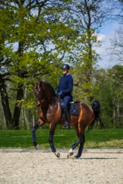 Equestrian Stockholm Dressage Saddle Pad Navy No Boundaries -Equestrian Supplies dressage saddle pad leather deluxe 4