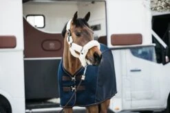 Kentucky Sheepskin Shipping Halter Natural 9 Kentucky Sheepskin Shipping Halter Natural -Equestrian Supplies e502eeee525627a4b4770730a9ccef20815376a242648637c9a57b52f66e6c49