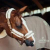 Equestrian Stockholm Fleece Headcollar & Lead Champagne -Equestrian Supplies image 147607bd 3ac3 4373 9ad7 4a016ee6fcd5