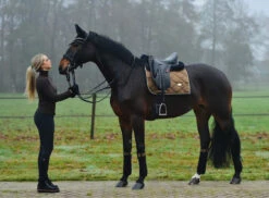 Equestrian Stockholm Dressage Saddle Pad Golden Brass 15 Equestrian Stockholm Dressage Saddle Pad Golden Brass -Equestrian Supplies image bbb50246 81ff 40d5 a40e 34c35107ed6b