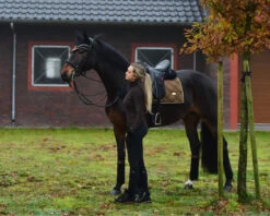 Equestrian Stockholm Dressage Saddle Pad Golden Brass 18 Equestrian Stockholm Dressage Saddle Pad Golden Brass -Equestrian Supplies image c4643e18 4148 4e6b a925 ac6098d8b2ca