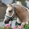 Equestrian Stockholm Fleece Headcollar & Lead Emerald
