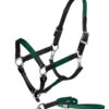 Equestrian Stockholm Leather Headcollar & Lead Sycamore Green