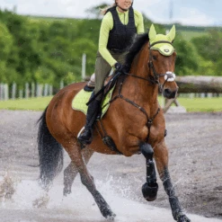 LeMieux Base Layer Kiwi -Equestrian Supplies lm baselayer kiwi5 hr 4