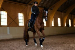 Equestrian Stockholm Ear Bonnet Luminous Black 8 Equestrian Stockholm Ear Bonnet Luminous Black -Equestrian Supplies luminous black ear net huva fliegenhaube oornetje on2