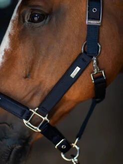 Equestrian Stockholm Clean Halter & Lead Rope Modern Tech Navy 8 Equestrian Stockholm Clean Halter & Lead Rope Modern Tech Navy -Equestrian Supplies modern tech navy halter grimma halfter halster on1