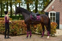 Equestrian Stockholm Bandages Purple Gold -Equestrian Supplies purple gold fleece bandages equestrian stockholm 3