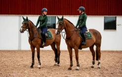 Equestrian Stockholm Jump Saddle Pad Forest Green -Equestrian Supplies saddle pad jump forest green esstockholm