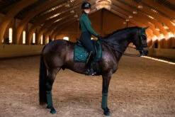 Equestrian Stockholm Dressage Saddle Pad Sycamore Green 9 Equestrian Stockholm Dressage Saddle Pad Sycamore Green -Equestrian Supplies sycamo1
