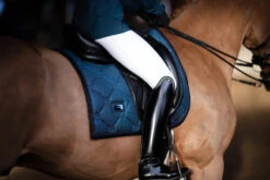 Equestrian Stockholm Elite Dressage Breeches White 11 Equestrian Stockholm Elite Dressage Breeches White -Equestrian Supplies whitebelite breeches dressage ridbyxa dressur reithosen rijbroek dressuur on3